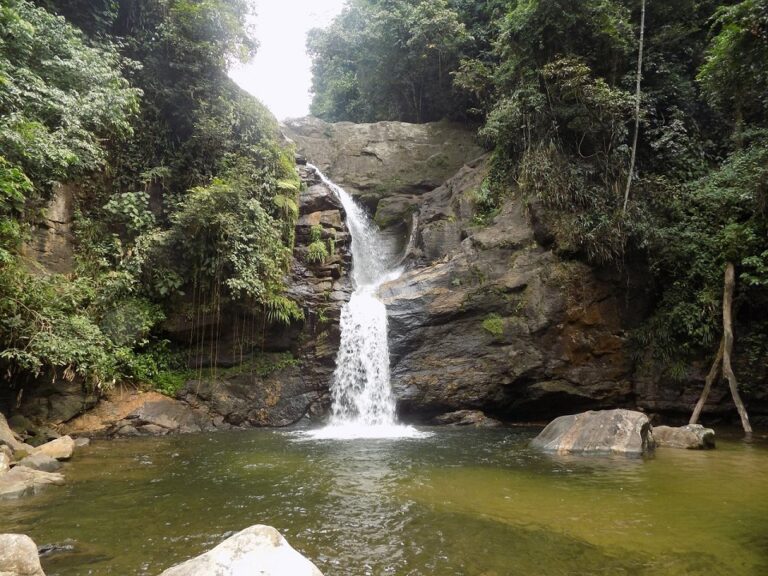 Cachoeiras de Macacu5